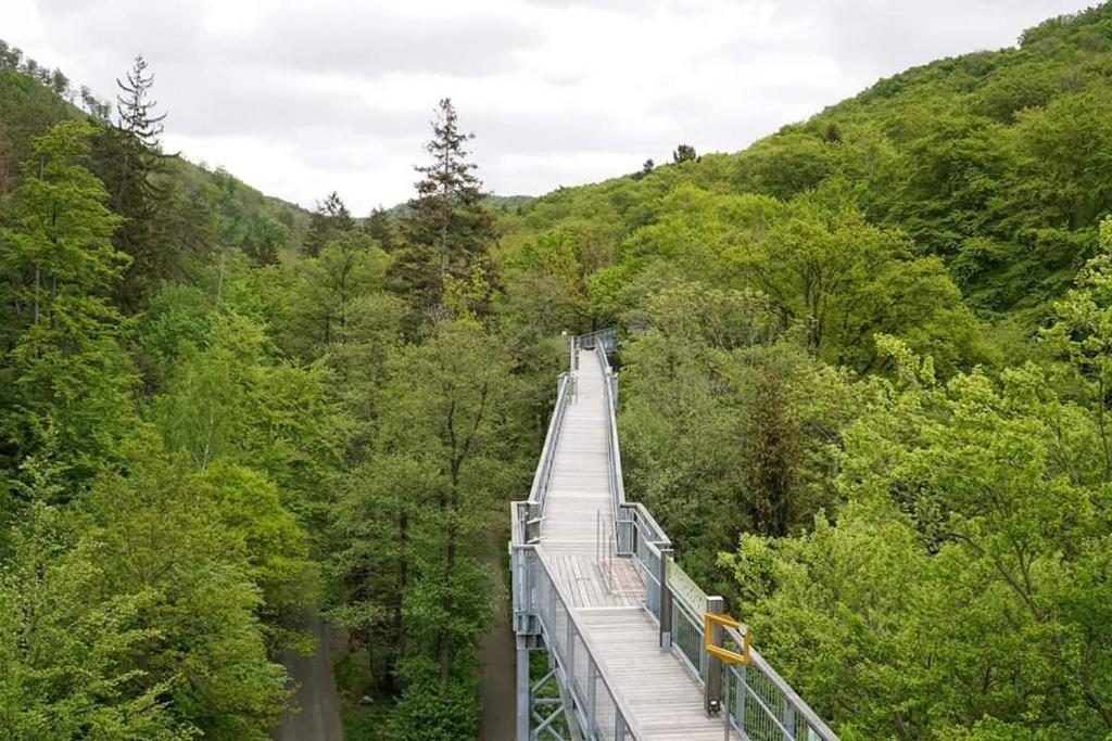 Baumwipfelpfad